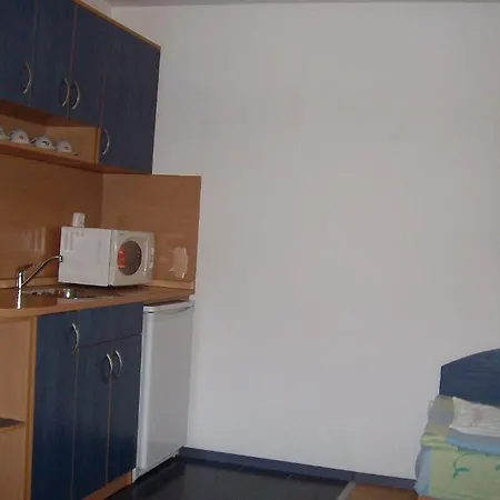 Casa de hóspedes Petkovi 2*